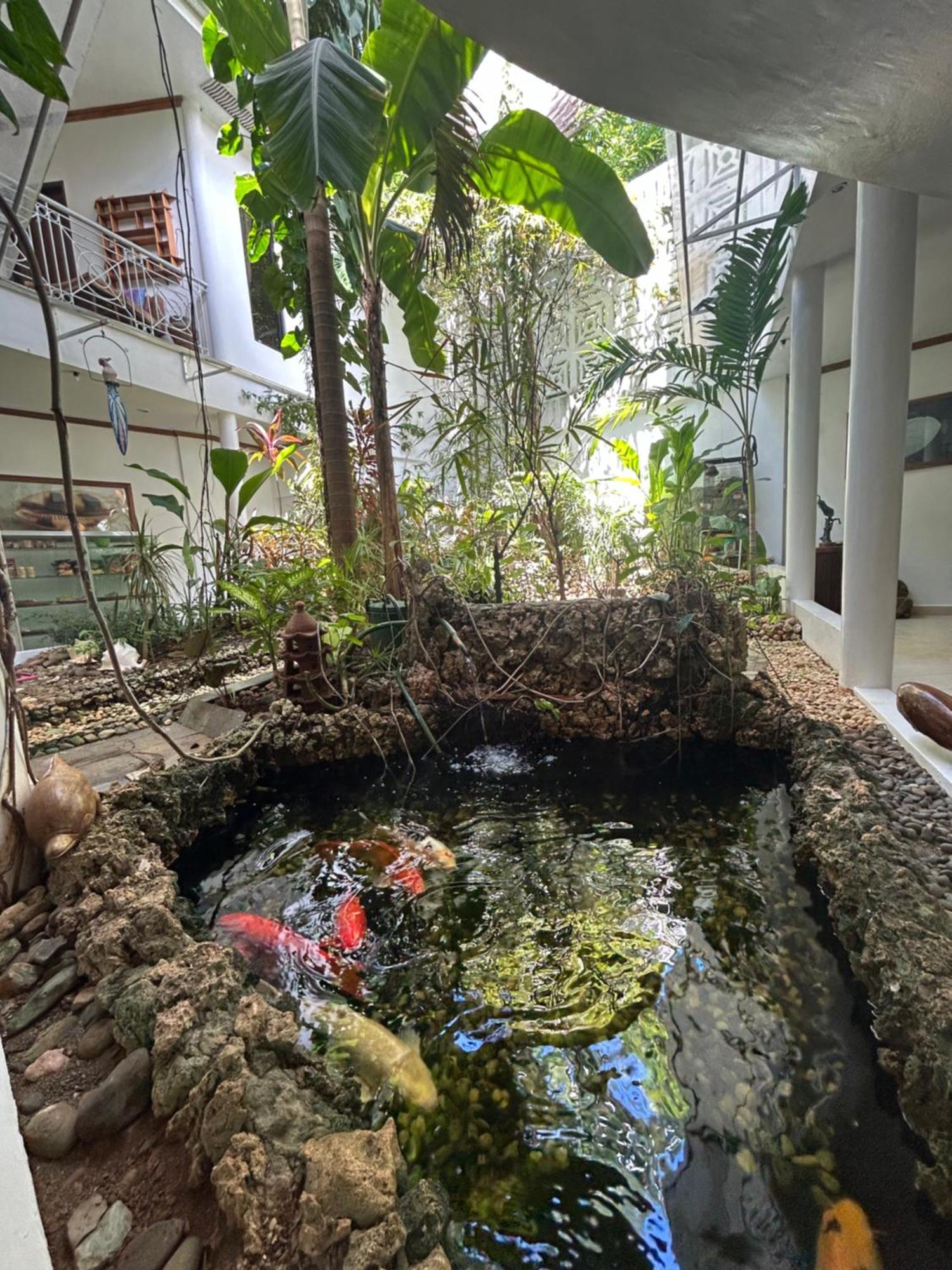 Argonauta Boracay Apartment Suites And Villas Boracay Island Екстер'єр фото